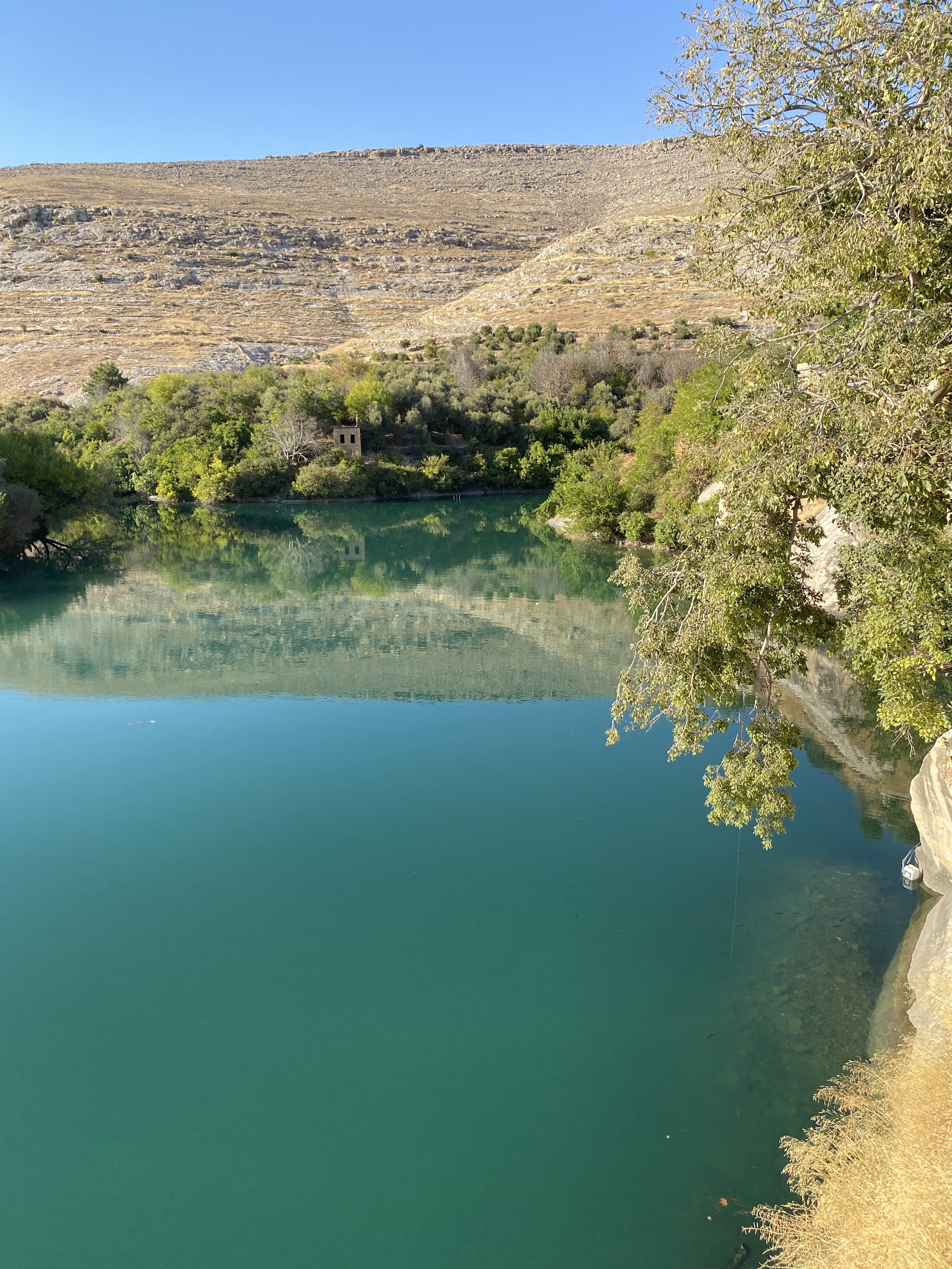 Yusuf Çavuş Konağı Şanlıurfa